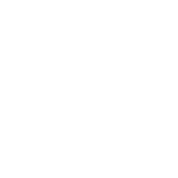 管风险